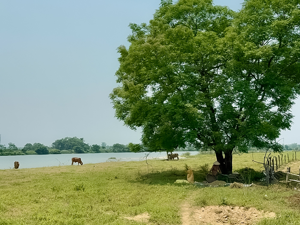Hoi An Countryside Bike Tour